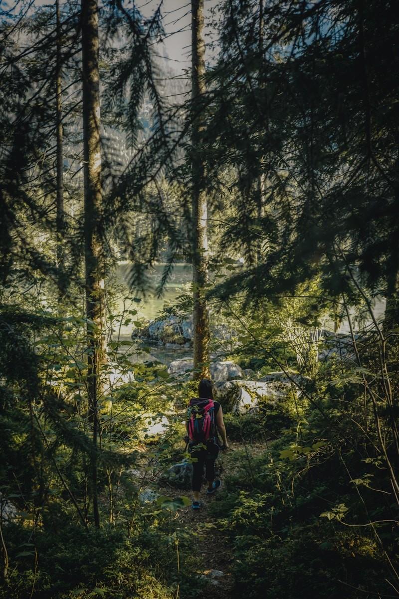 a person walking through a forest